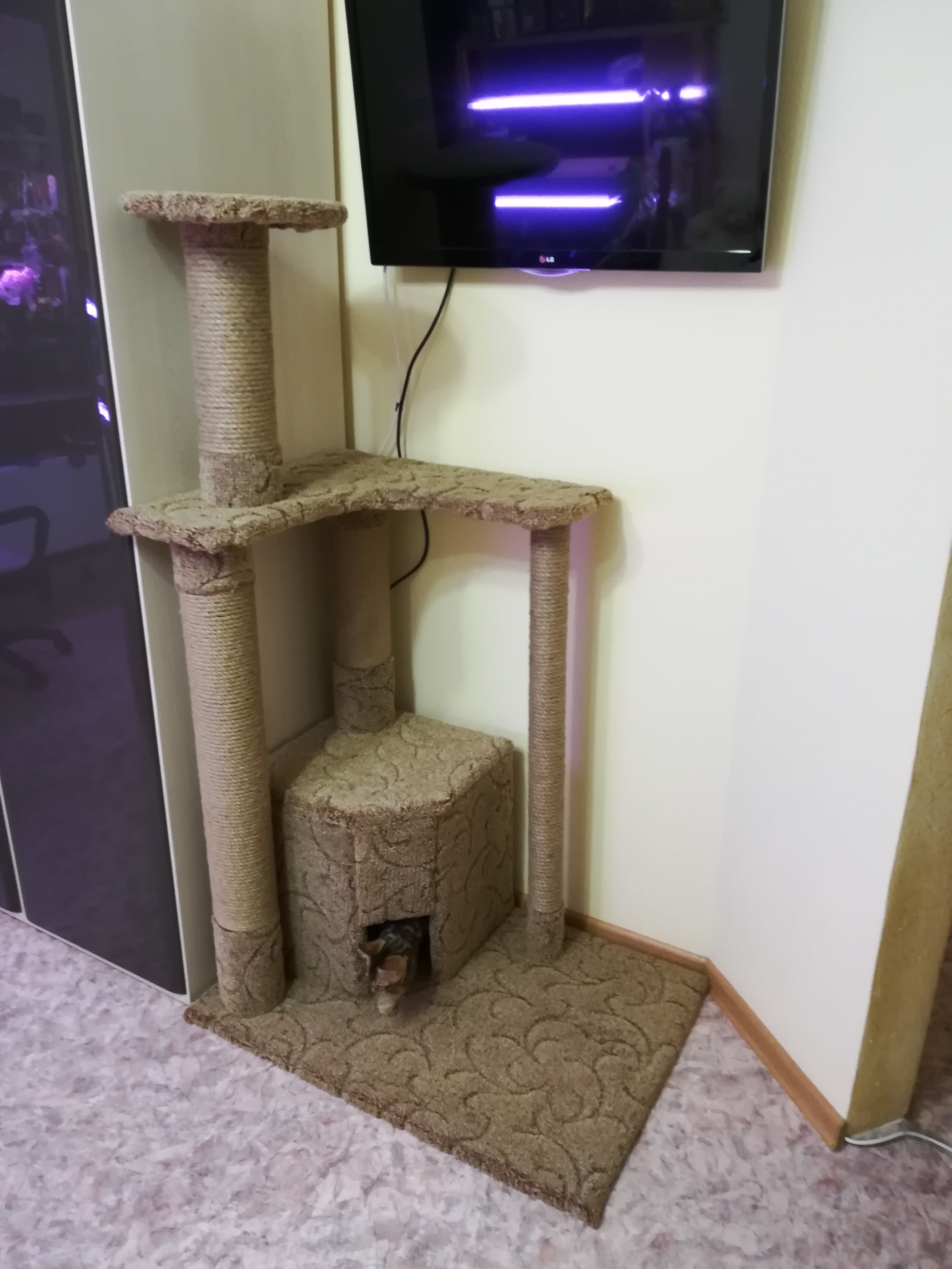 Quick cat house - My, Needlework with process, Scratching post, cat, Video, Longpost, Pet house