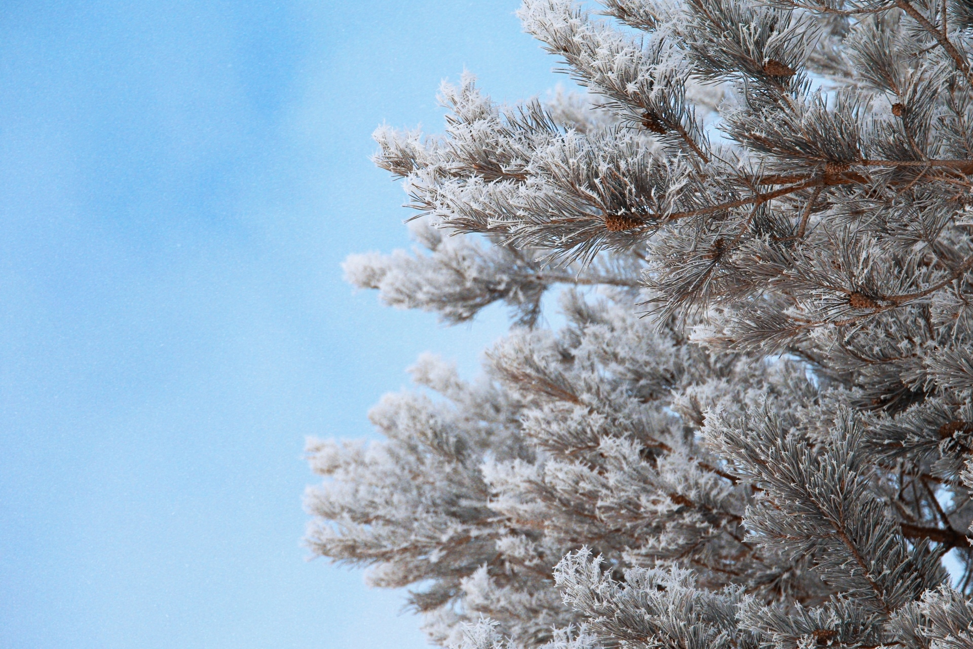 It's just frozen water - My, Winter, Canon, Longpost