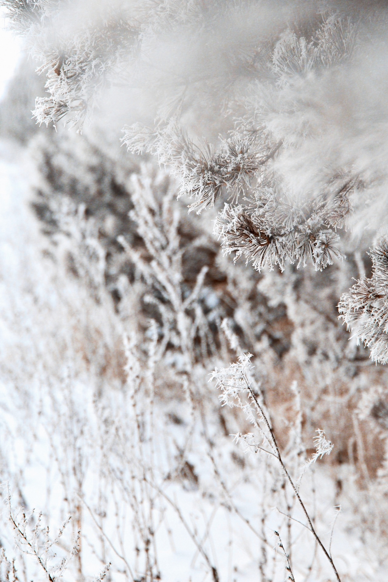 It's just frozen water - My, Winter, Canon, Longpost