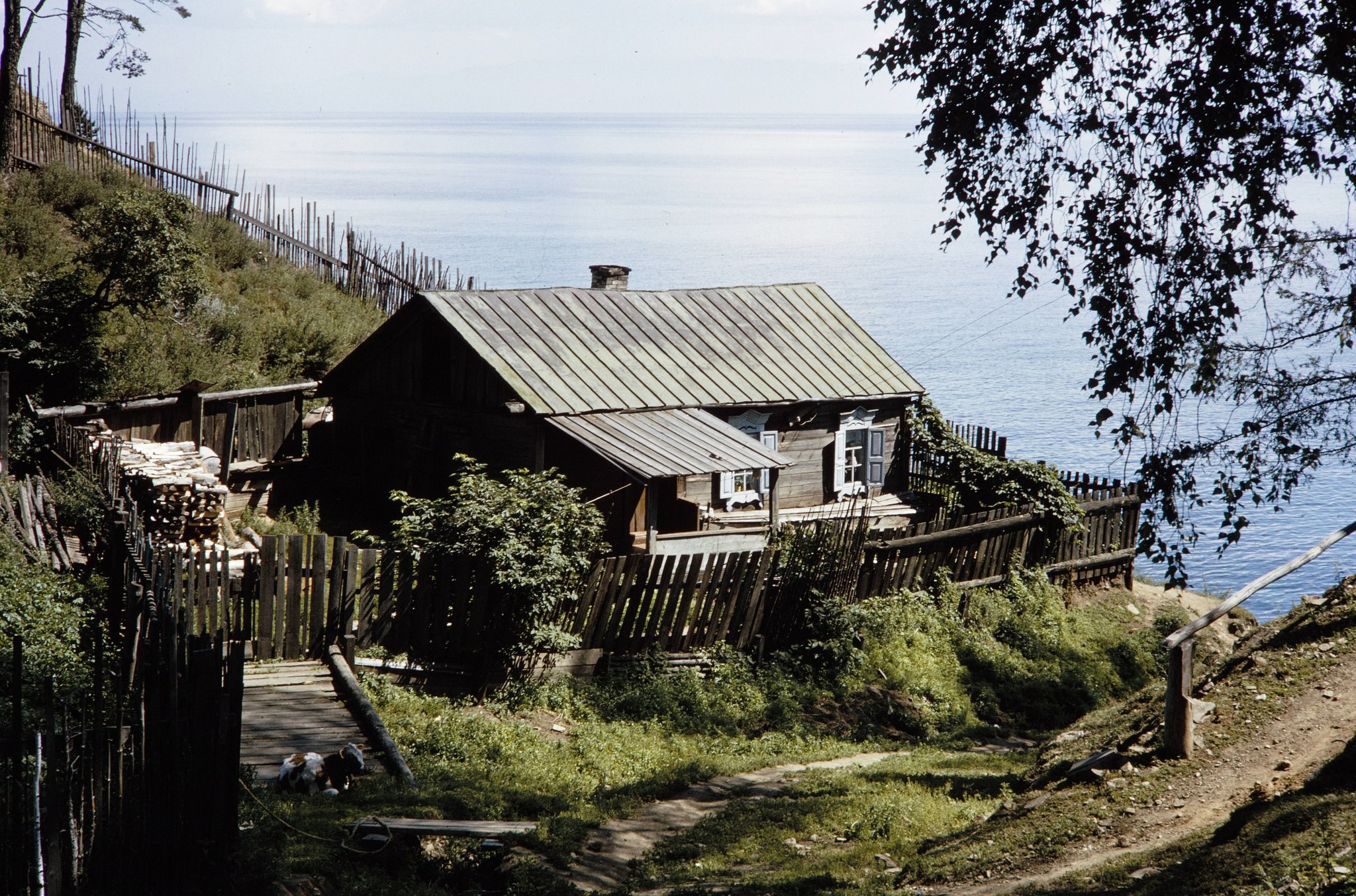 Деревня на Байкале, 1964 год - СССР, Байкал, Длиннопост, 60-е