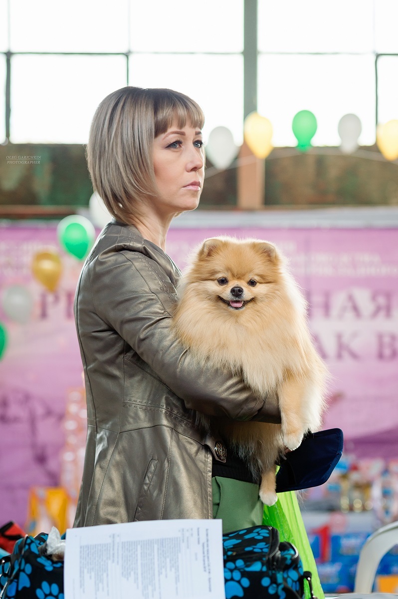 The first publication in the New Year is another series of reportage photographs from dog shows in the South of Russia. Enjoy watching and good mood - My, Dog, Dog show, Dogs and people, Dog lovers, Dog days, Animalistics, Longpost