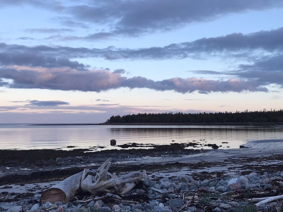 Терский берег белого моря. Побережье белого моря Кольский полуостров. Путешествие на берег белого моря. Белое море в июне.