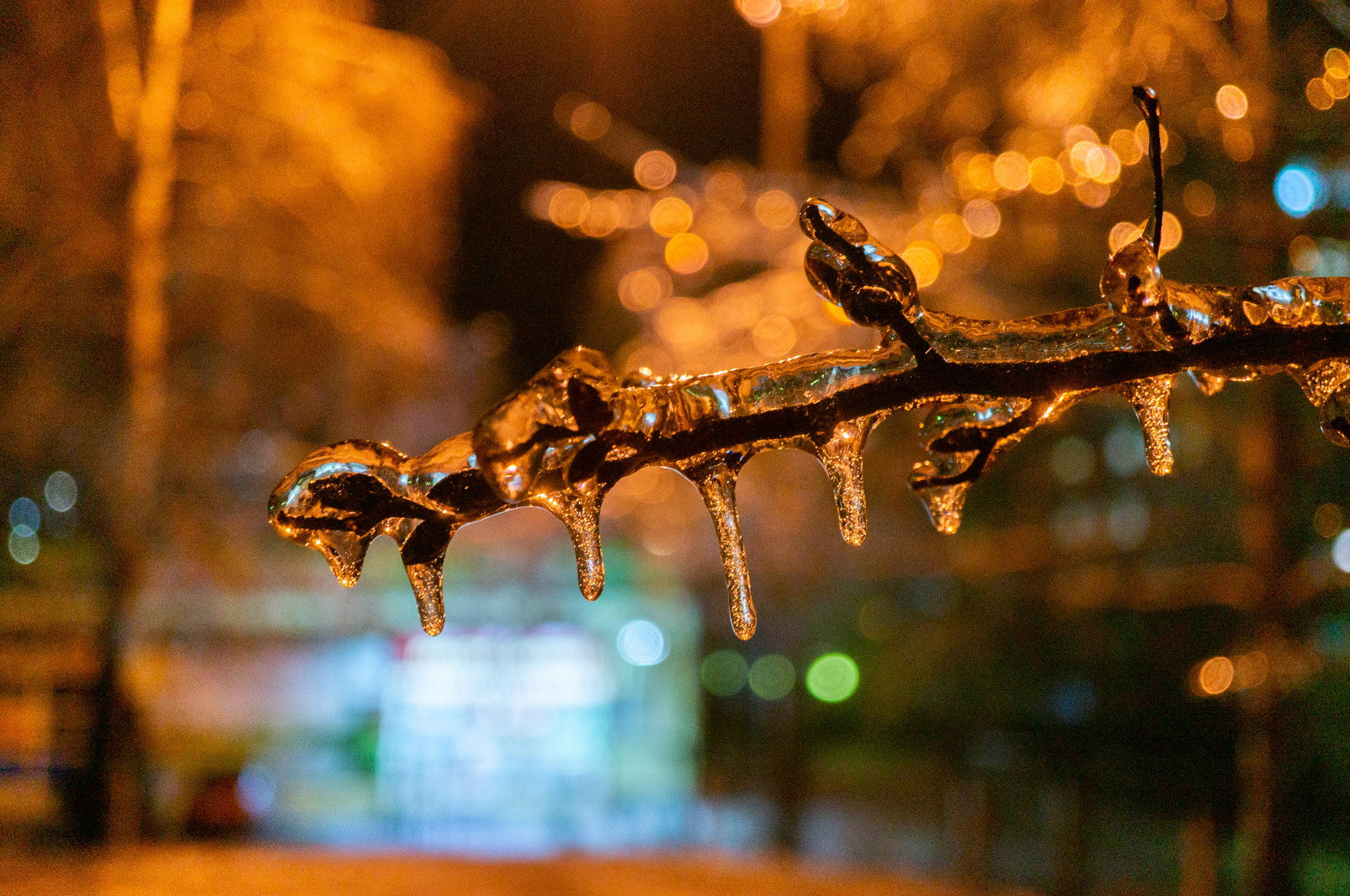 freezing rain - My, The photo, Macro photography, Ice, Winter, Longpost, Freezing rain