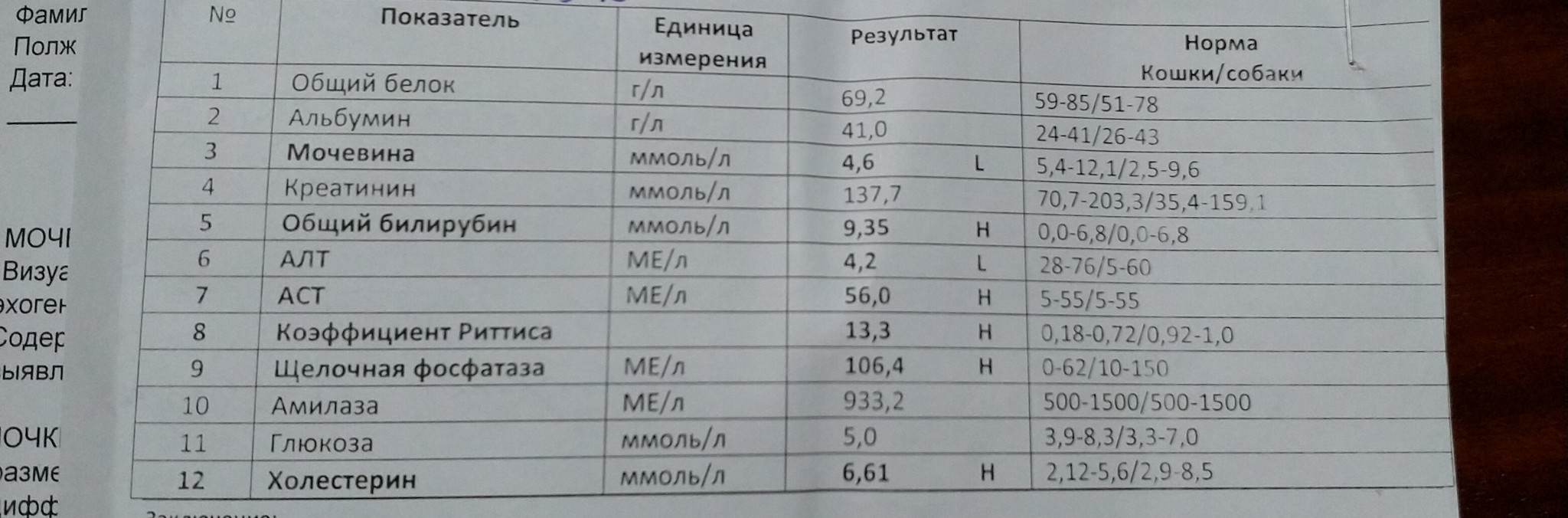 Need help, advice - My, cat, Vet, Longpost, No rating