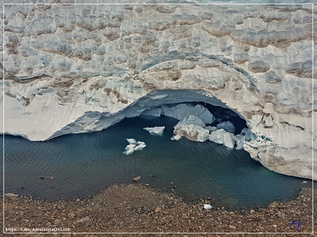 Penguins, skuas and two ice caves - My, Antarctica, Antarctica On-Line, Penguins, Skua, Oasis, Caves, Longpost