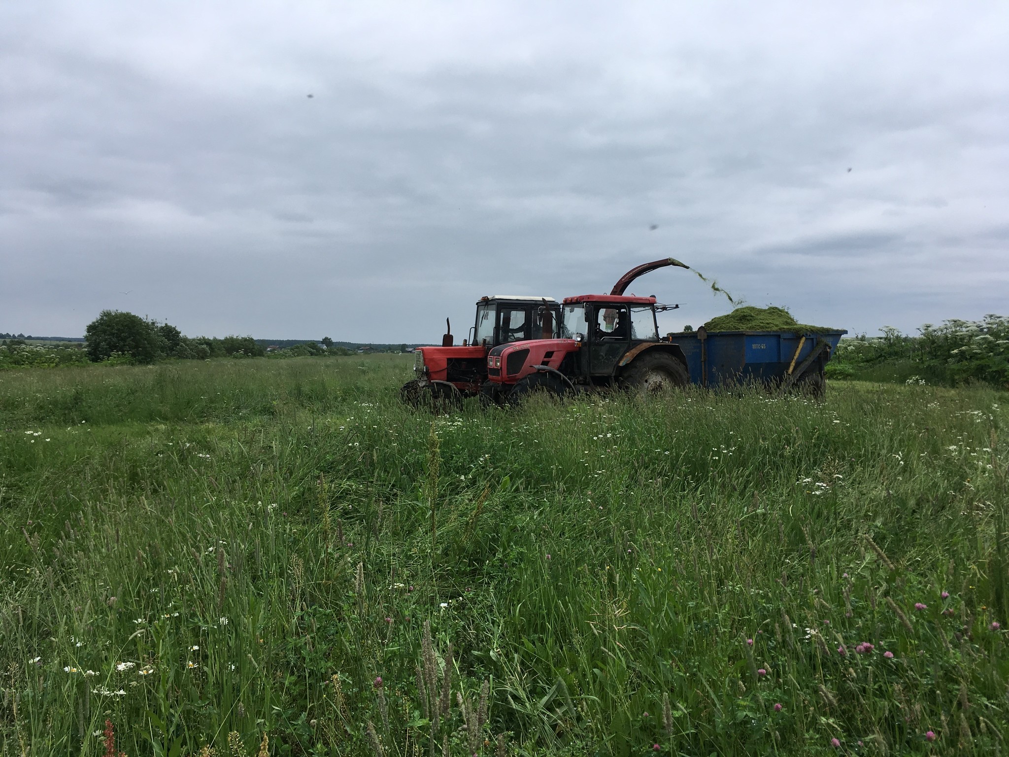 Farmer's Diary. Answers on questions - Сельское хозяйство, Rural life, Collective farm, Milk products, Personal experience, Mat, Longpost, Tractor