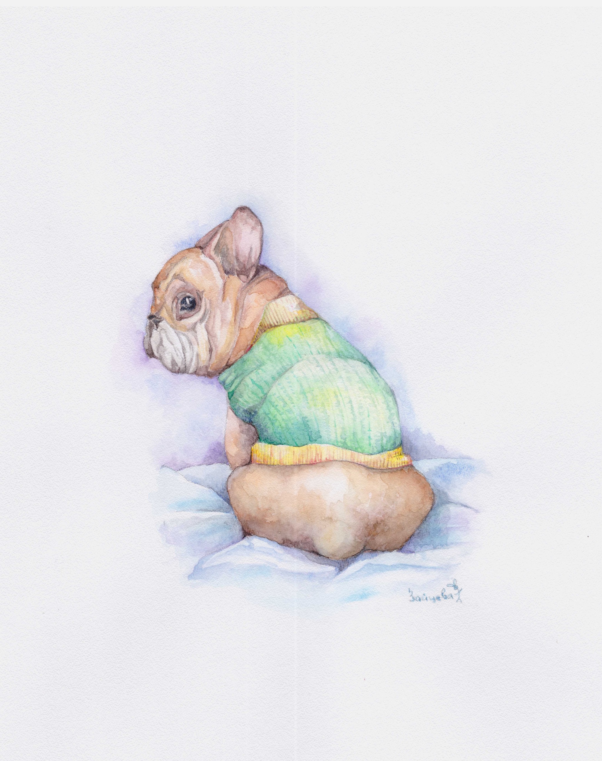 Kalyaki-malyaki - My, Watercolor, Rat, French Bulldog, Dog, Drawing, Longpost, Animals, Animalistics, Flowers