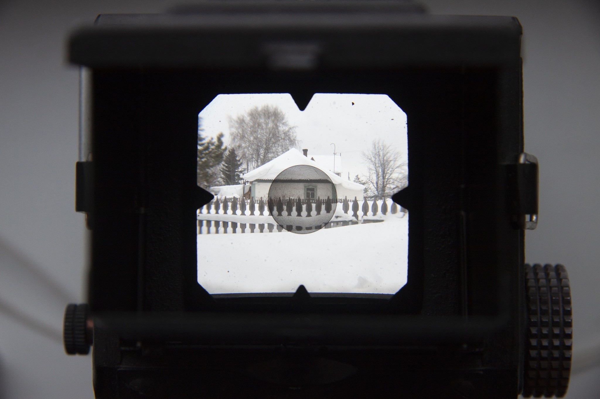 A look through retroprism. Lubitel 166 B - My, Amateur166, The photo