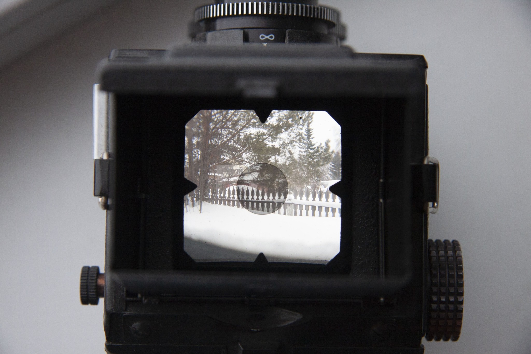 A look through retroprism. Lubitel 166 B - My, Amateur166, The photo