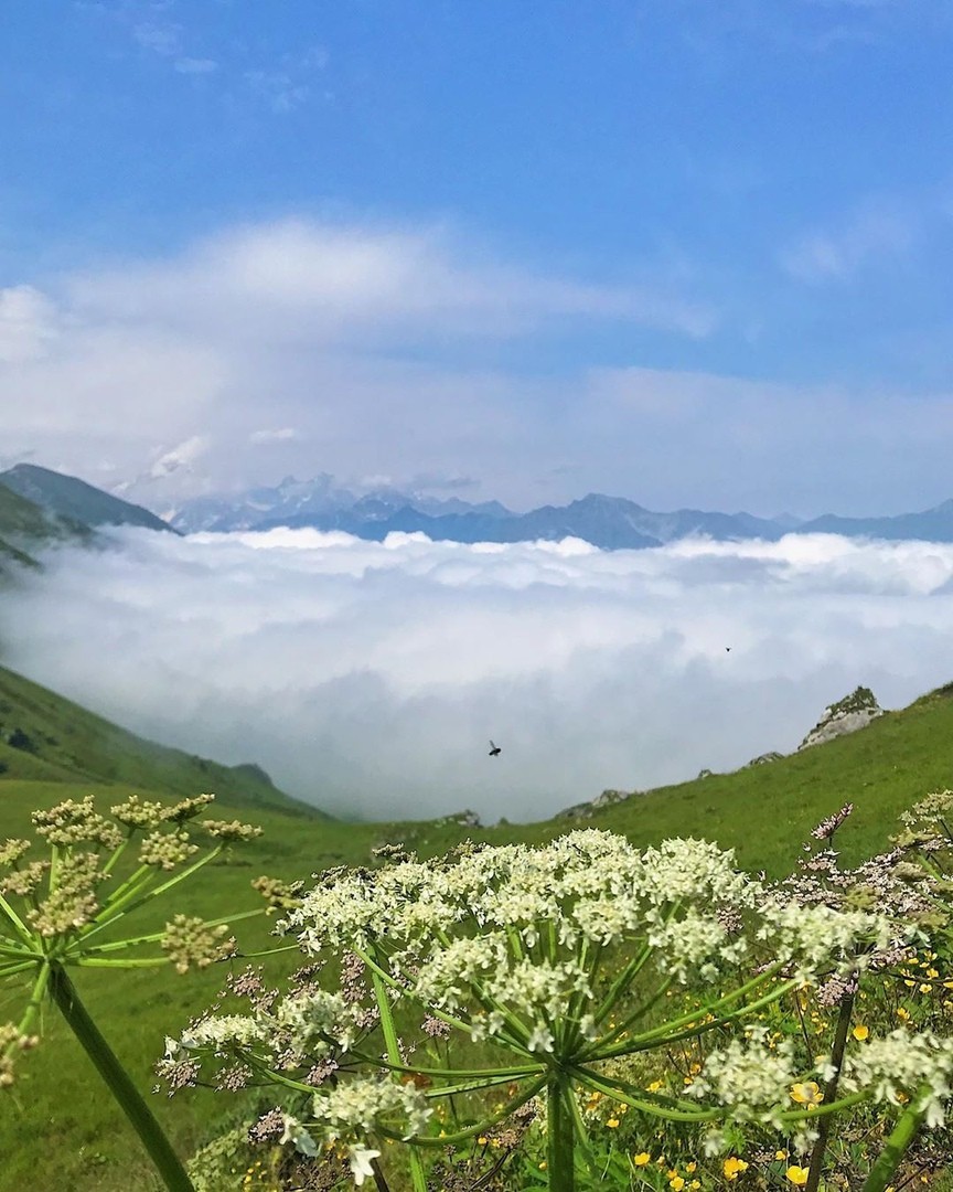 Caucasus - Nature, The mountains, Caucasus, Longpost