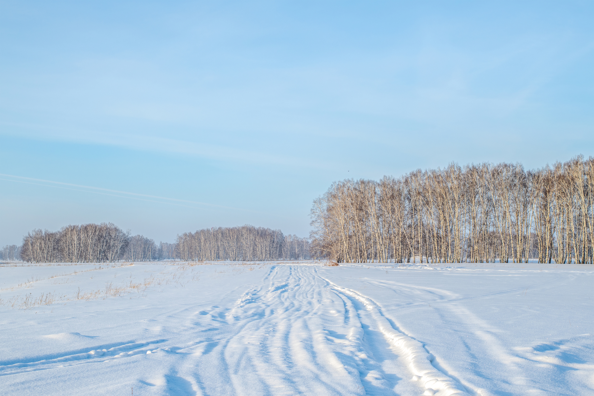 Trip to the Novosibirsk region - My, Forest, River, Track, Winter, Siberia, Novosibirsk region, Ordynskoye, Nikon d850, Longpost