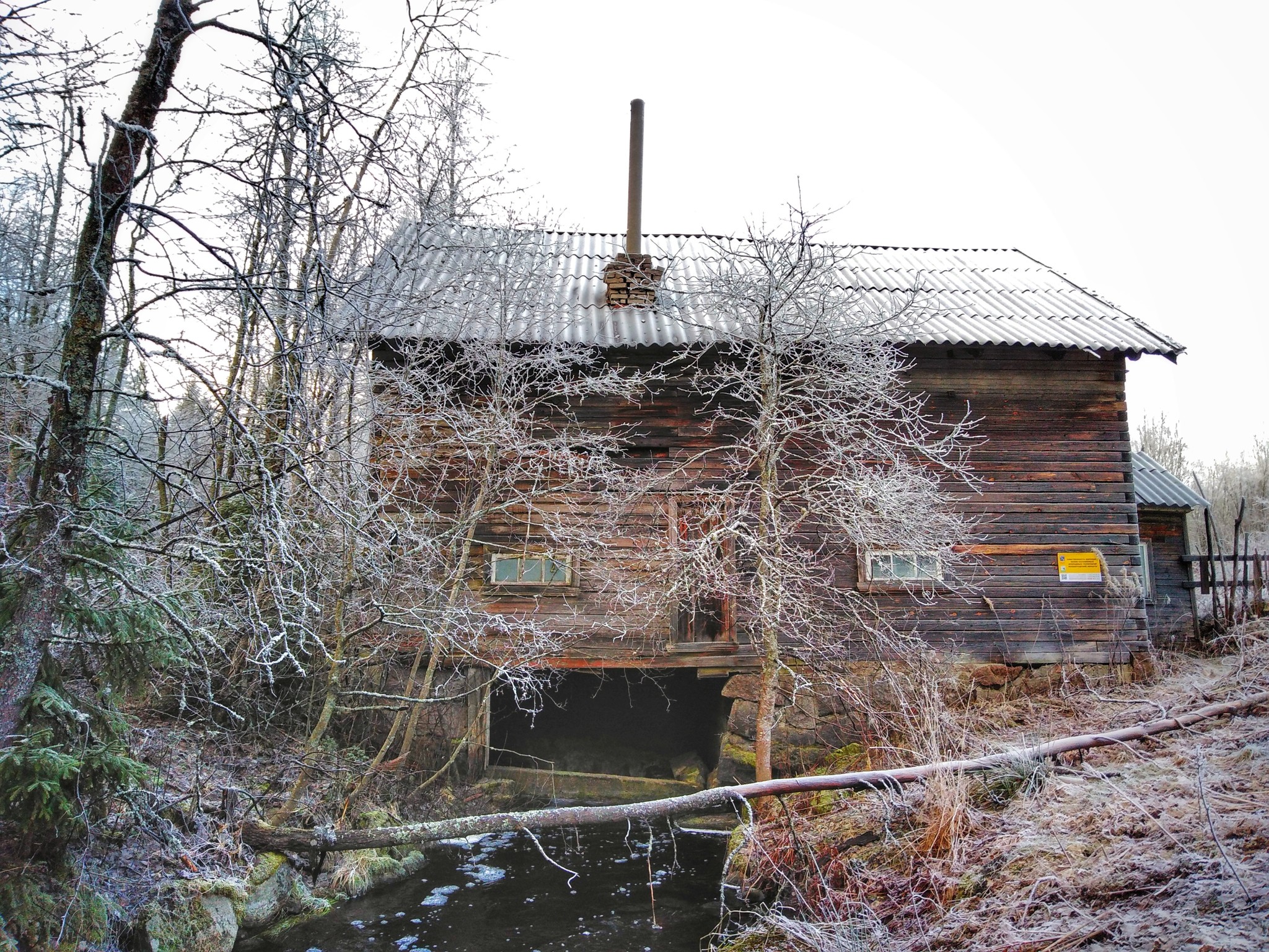 Old mill. Gladyshevka River, Vyborg district, Leningrad region - My, River, Nature, Mill, Longpost