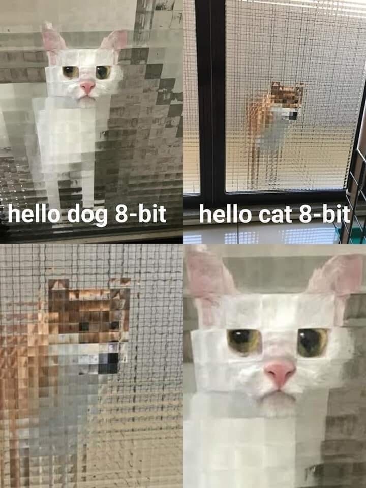 Primitive Cubism - cat, Dog, 8 bit