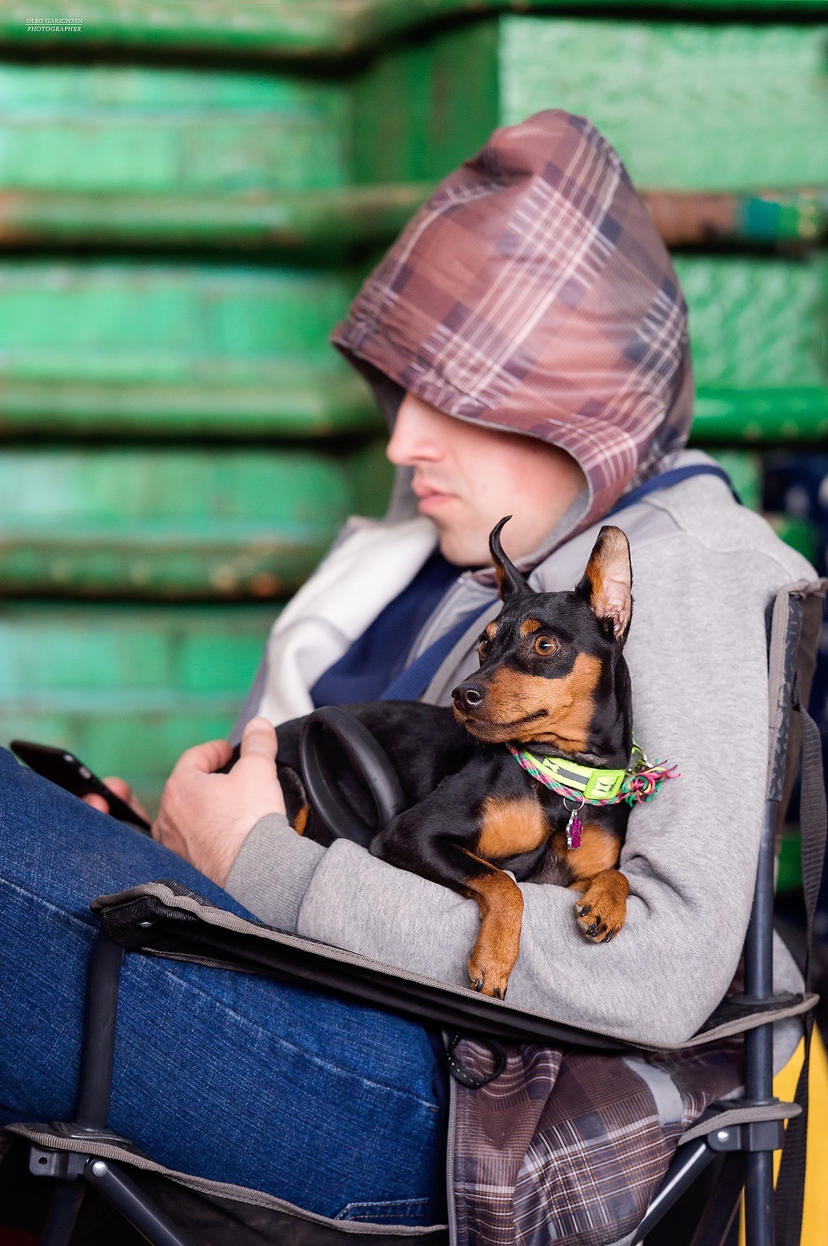 Another series of reportage photographs from dog shows held in the South of Russia - enjoy viewing and good mood))) - My, Dog, Dogs and people, Dog lovers, Dog days, Dog show, Animalistics, Longpost