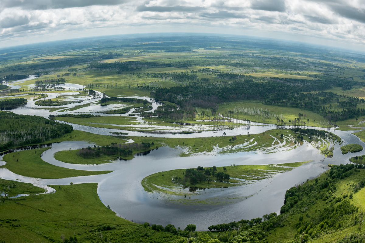 River flood - Amur region, Дальний Восток, Nature, River, Spill