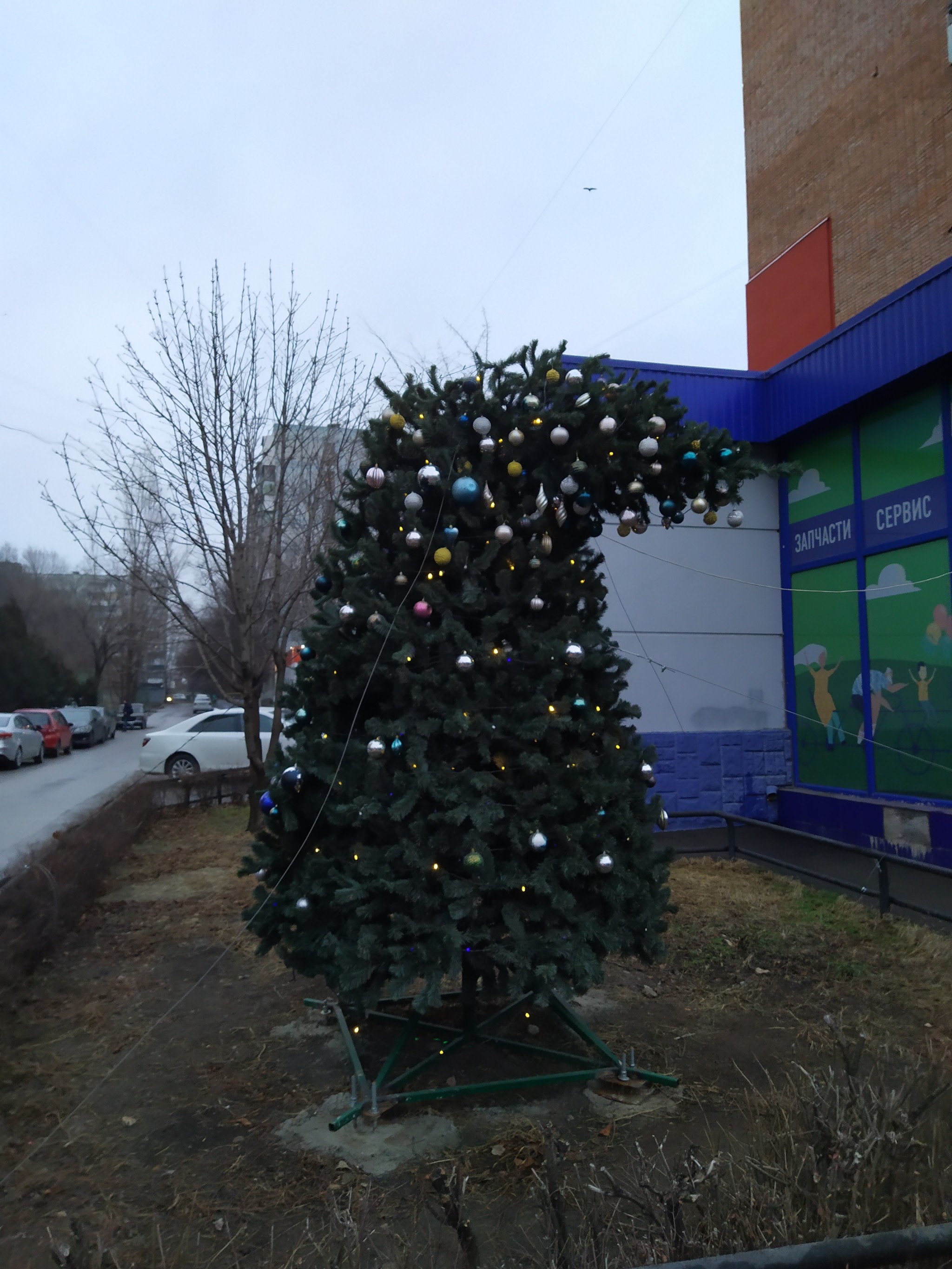 When you've already done your job, but you're asked to stay a little longer - My, Christmas trees, Rostov-on-Don