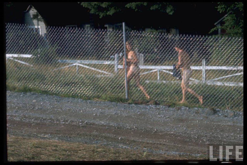 Woodstock 1969 - NSFW, Music Festival, Hippie, 60th, Woodstock, Retro, Old photo, USA, Youth, Longpost