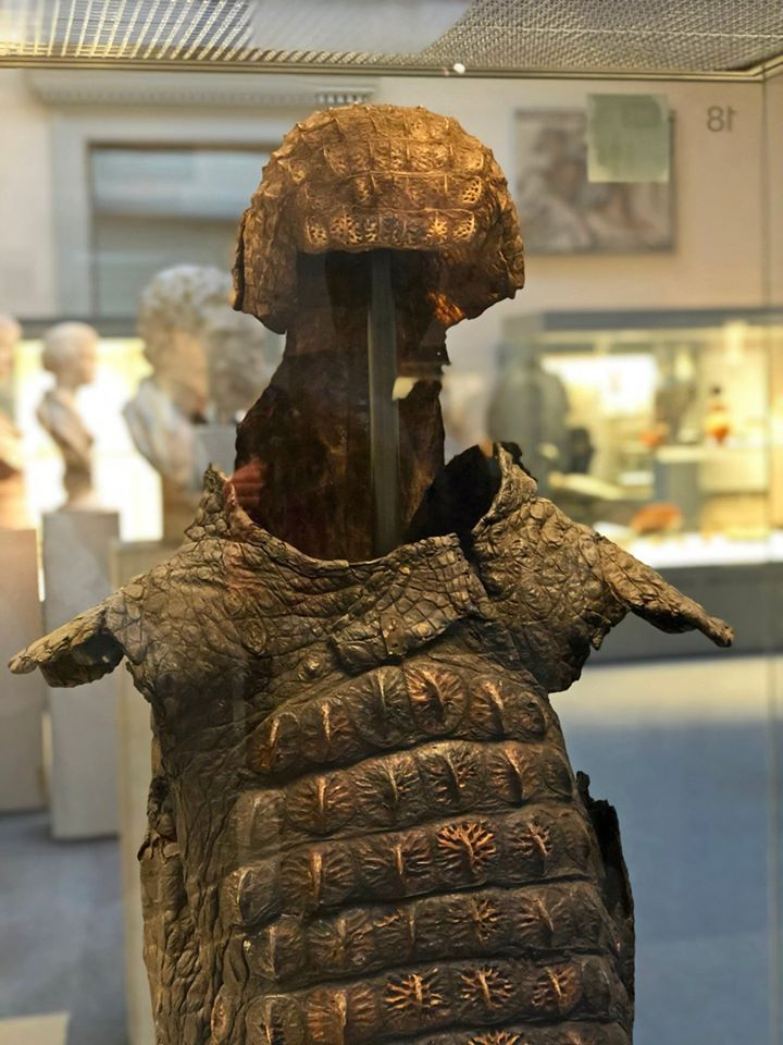 Armor - Armor, Armor, Crocodiles, Egypt, Museum, Longpost