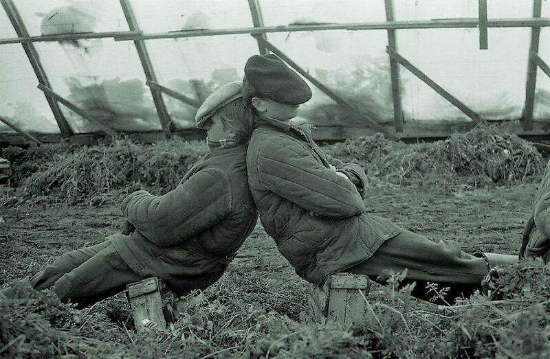 To the potatoes! - the USSR, Collective farm, Video, Longpost