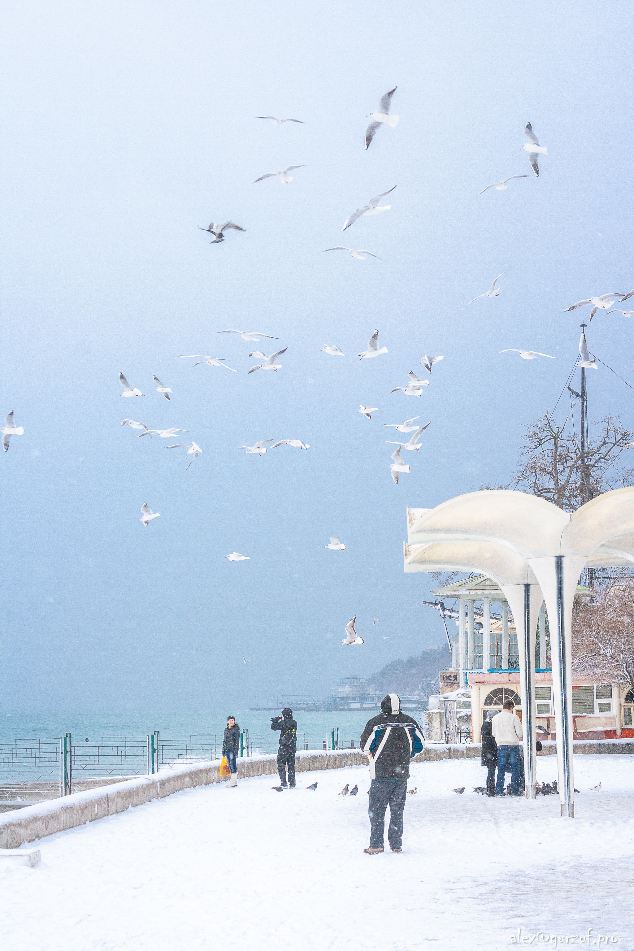 Winter in Yalta - My, Yalta, Crimea, Winter, Landscape, Snow, Longpost