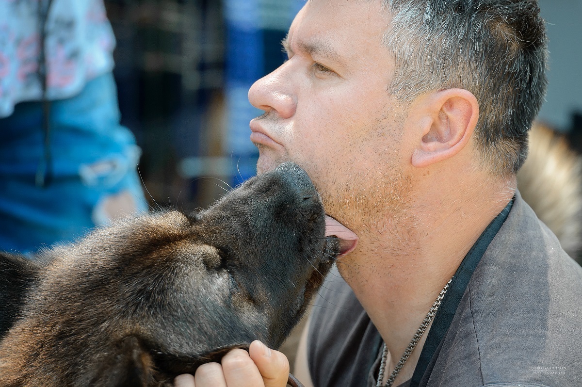 Another series of reportage photos from dog shows held in the South of Russia - enjoy viewing and good mood)) - My, Dog, Dogs and people, Dog show, Dog lovers, Dog days, Animalistics, Longpost