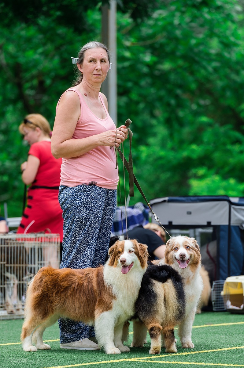 Another series of reportage photos from dog shows held in the South of Russia - enjoy viewing and good mood)) - My, Dog, Dogs and people, Dog show, Dog lovers, Dog days, Animalistics, Longpost