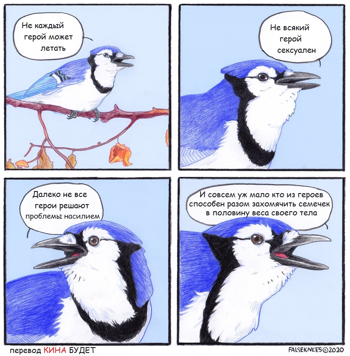 About a rare superpower... - Super abilities, Birds, Blue Jay, Comics, Translated by myself, Falseknees