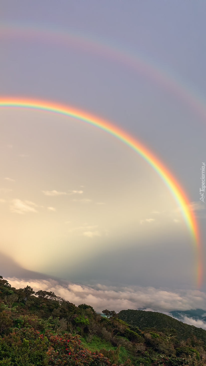 Rainbow - Rainbow, The photo