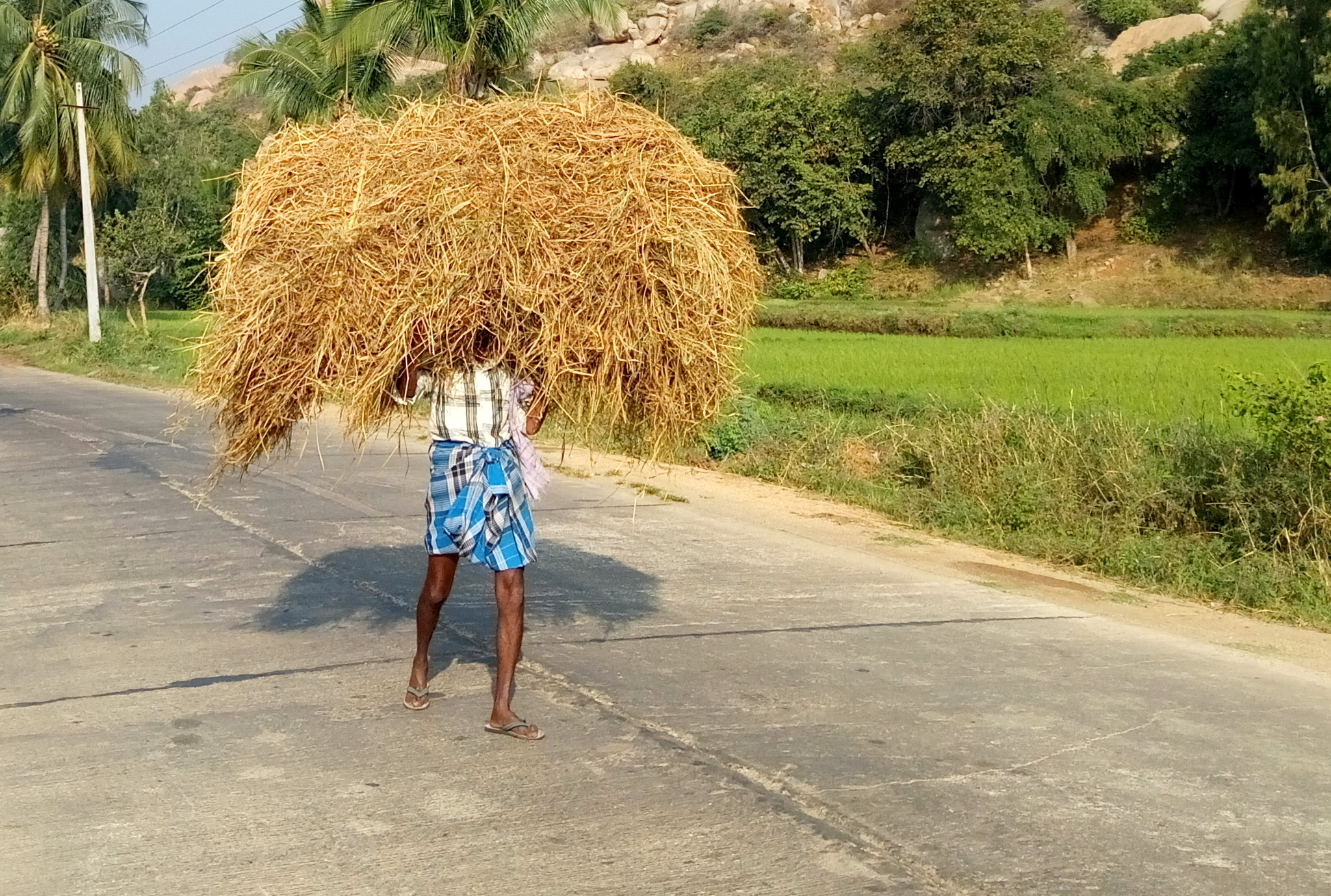 How I spent my summer (in January) part 6 India, Hampi - My, Travels, India, Hampi, Ruin, Longpost