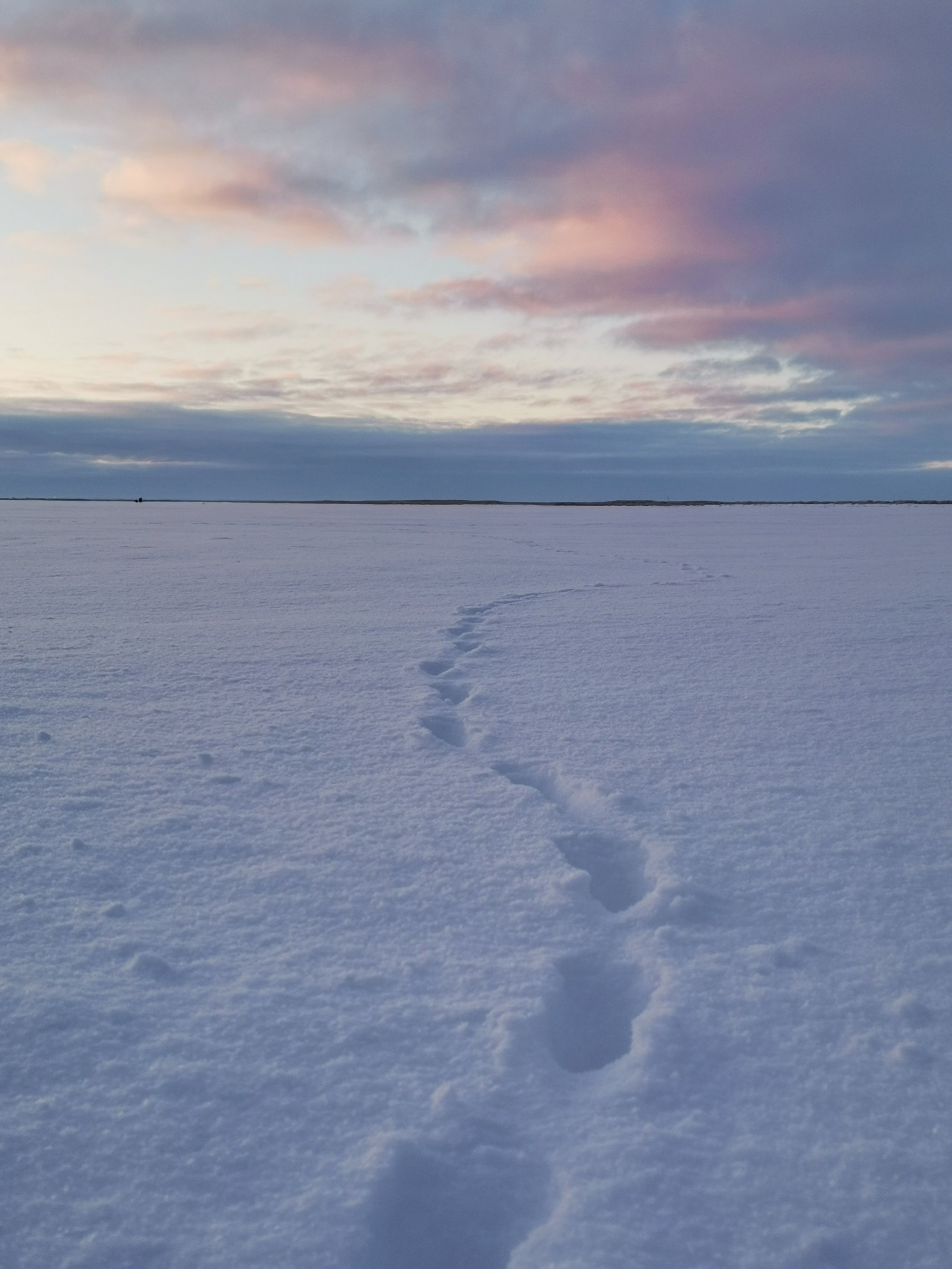 -35Ненецкий АО - Моё, Мороз, Нарьян-Мар, Ненецкий АО, -35, Заполярье, Длиннопост