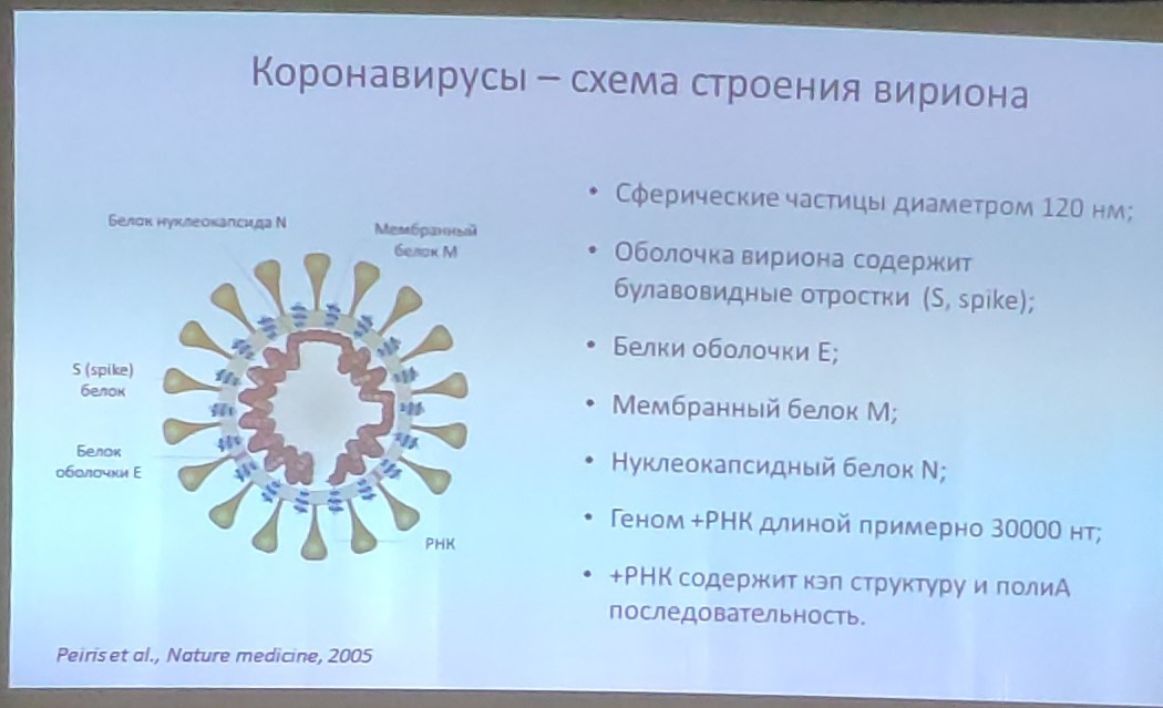 Coronavirus, are they afraid? - My, Coronavirus, Panic, Epidemic, China, Longpost