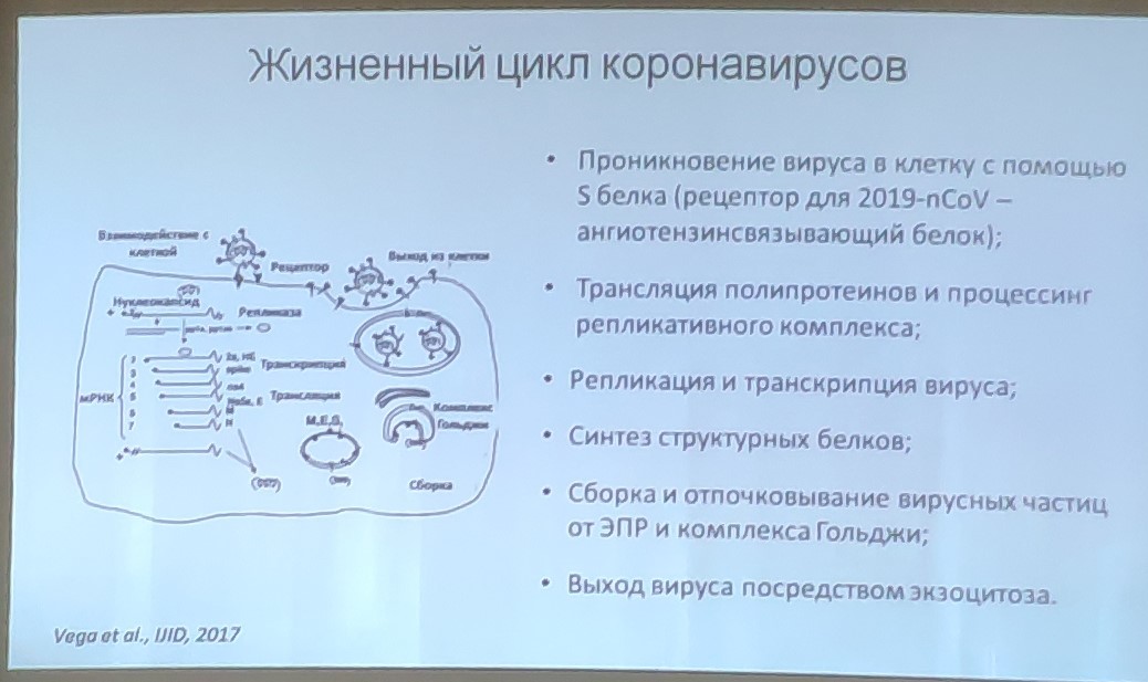 Коронавирус, боятся ли? - Моё, Коронавирус, Паника, Эпидемия, Китай, Длиннопост