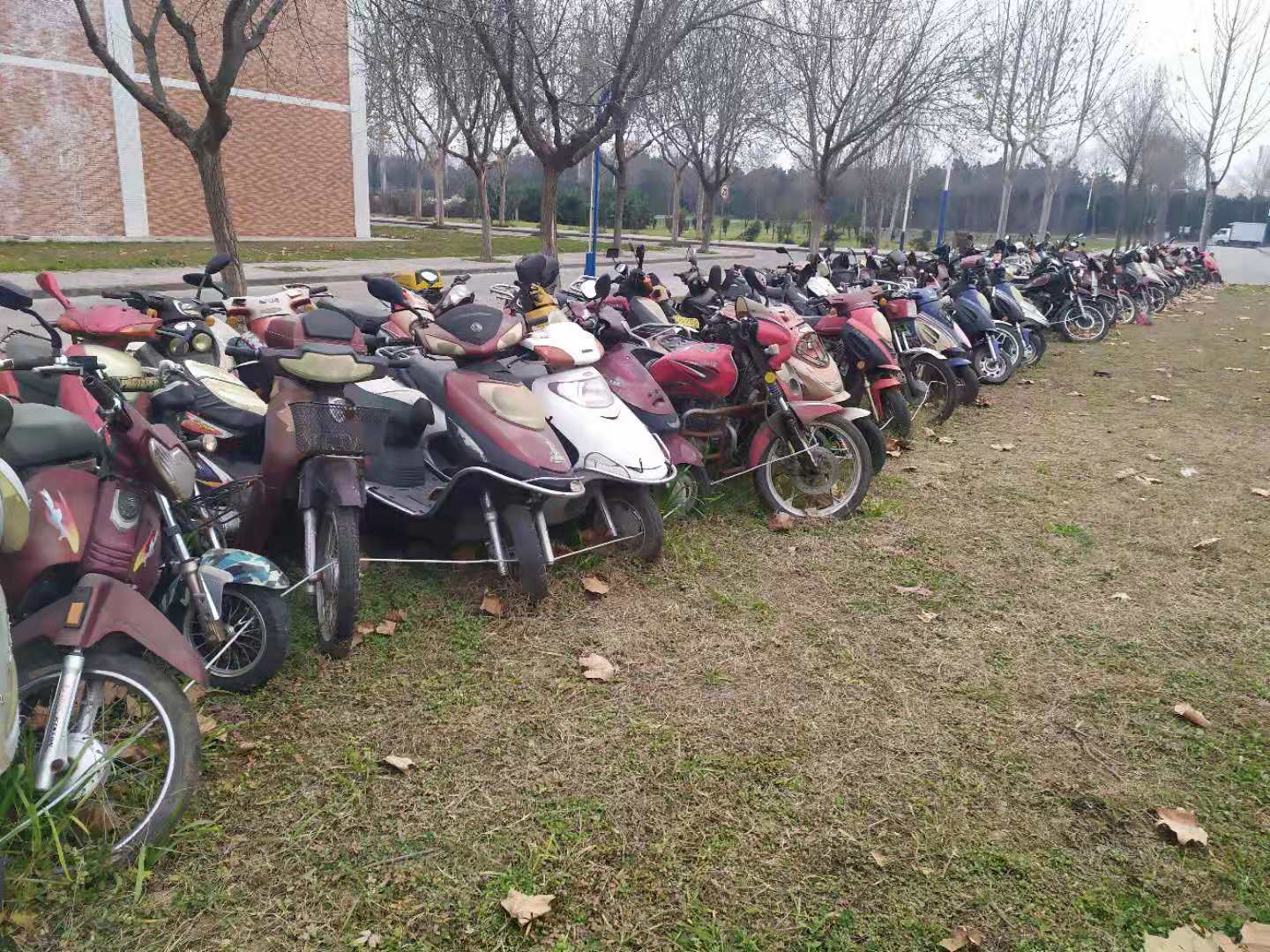 Giant bicycle dump in front of the house - My, China, A bike, Dump, Disposal, Longpost