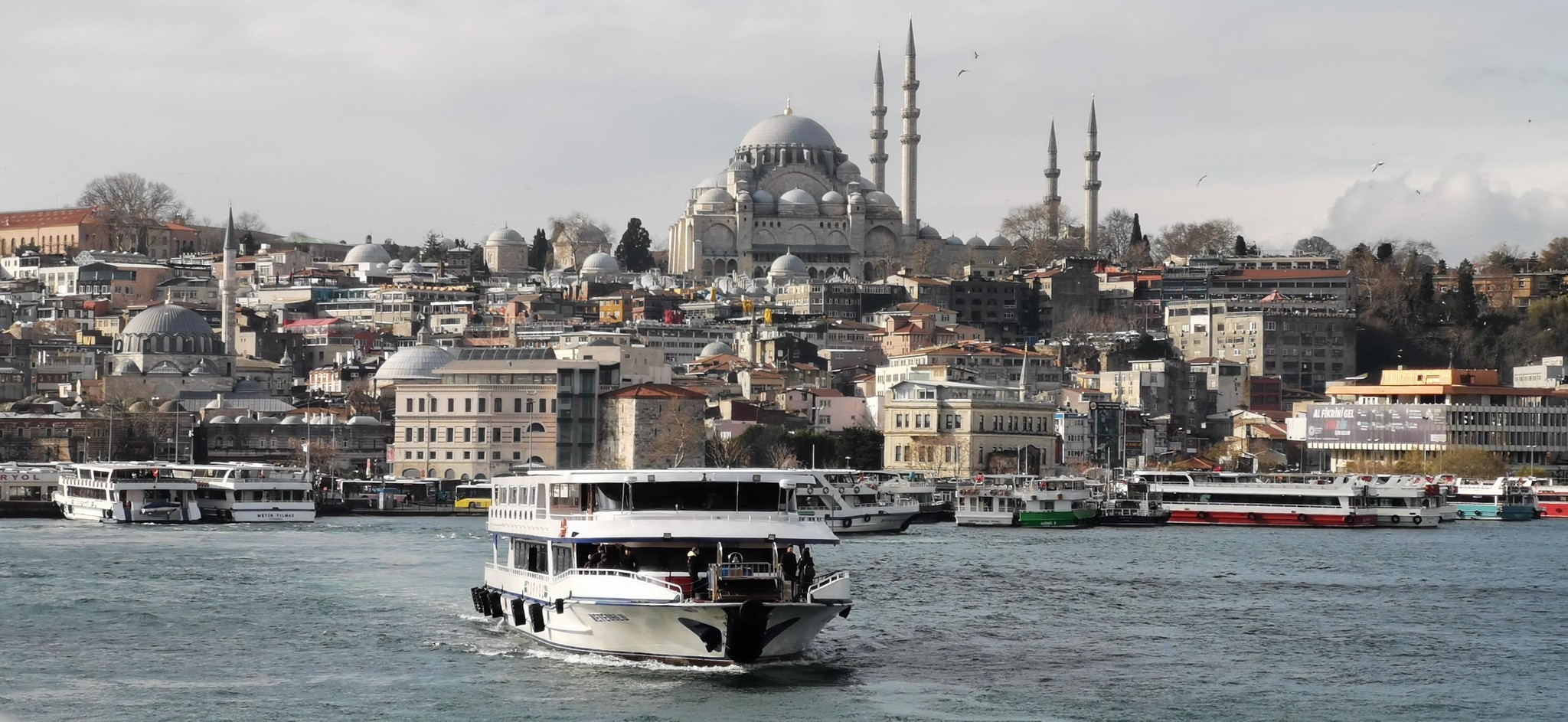 He is beautiful! - My, Istanbul, Travels