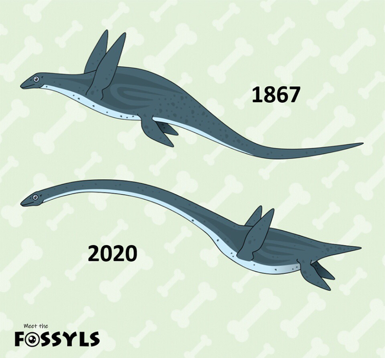 Elasmosaurus. Assembly options - Dinosaurs, Time changes, Paleontology