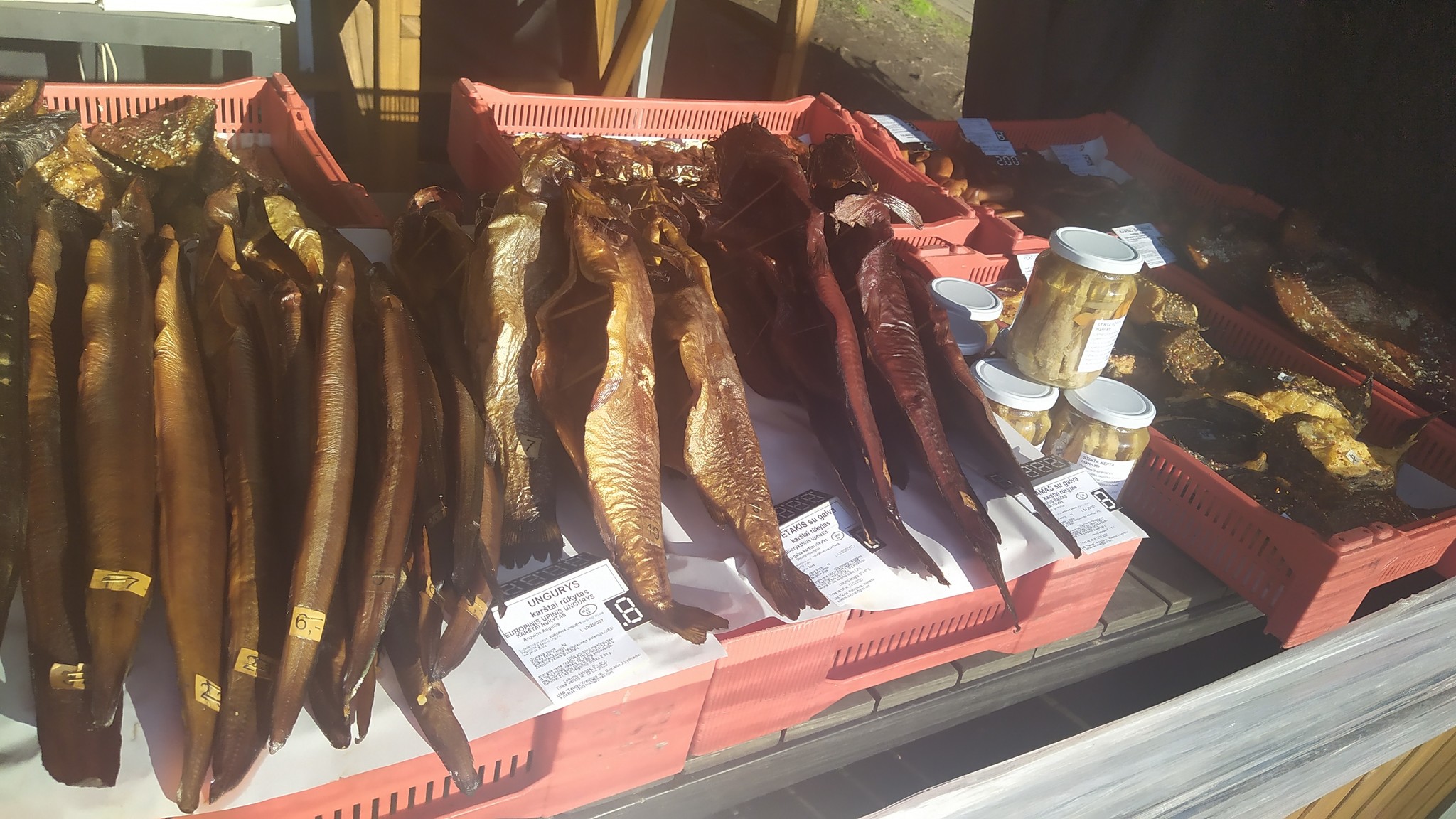 Smelt festival in Palanga. Some photos - My, Smelt, Palanga, Baltics, Longpost