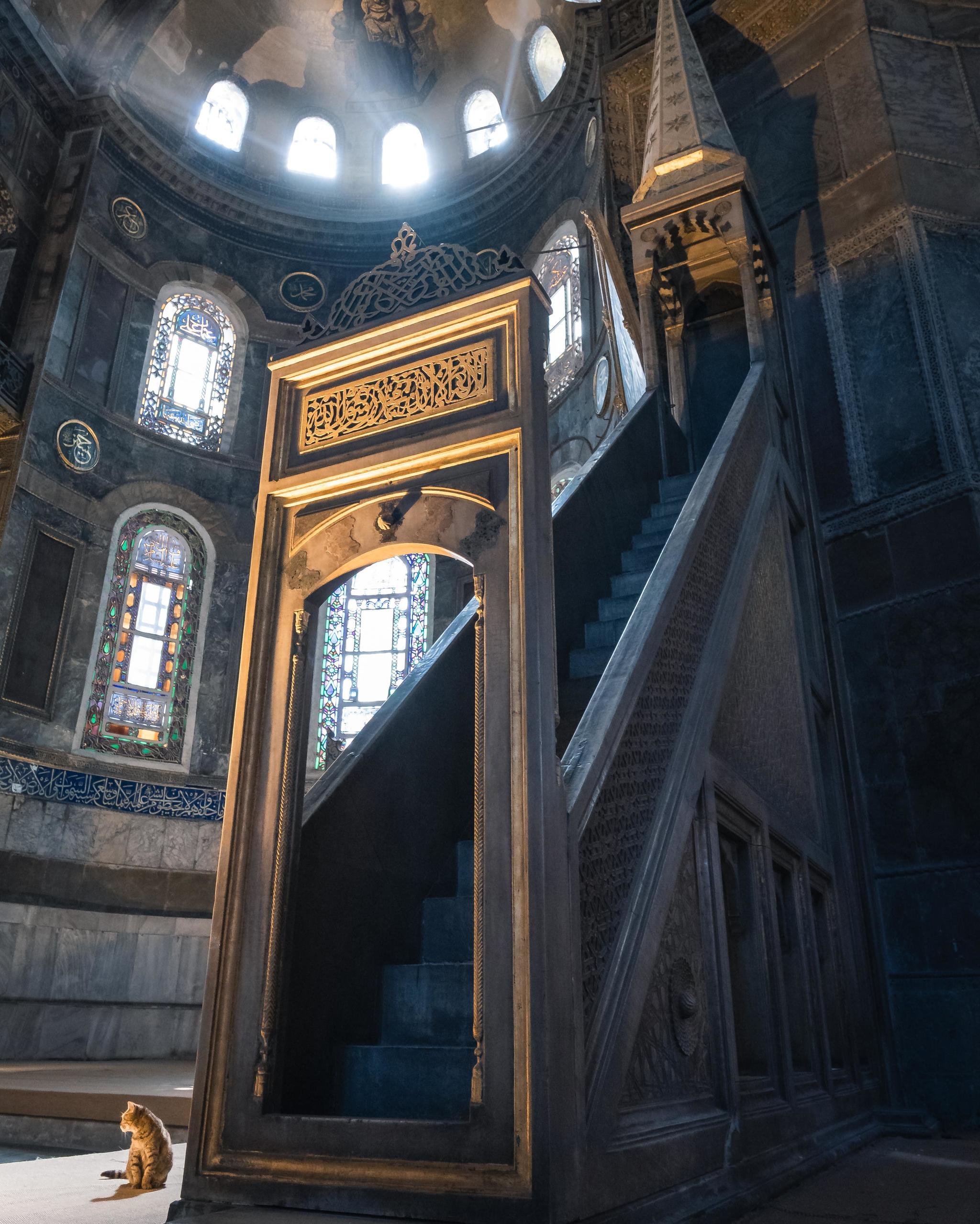 Guardian of the Hagia Sophia in Istanbul - St. Sophia Cathedral, Istanbul, cat, Church