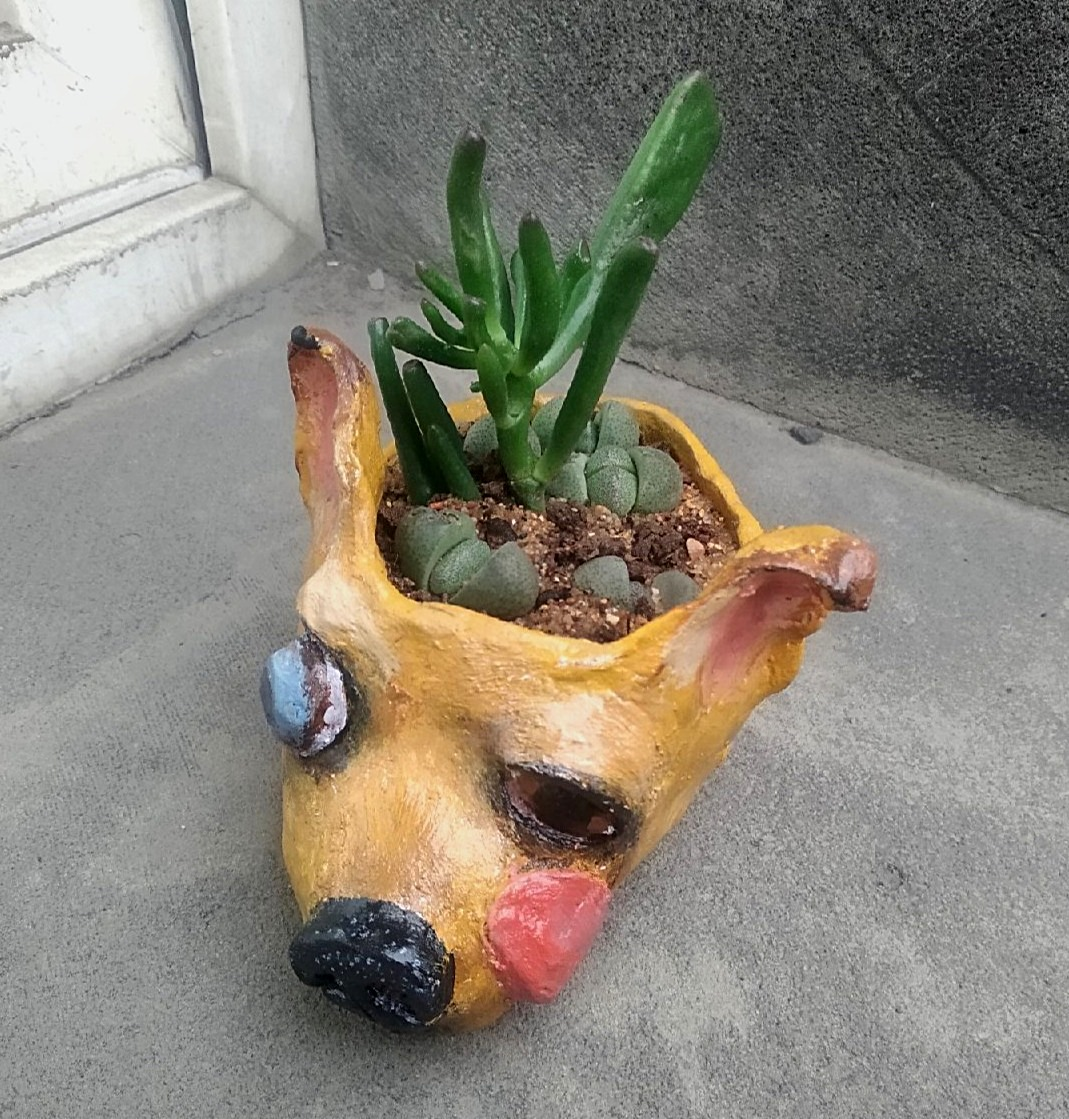 Chihuahua clay flower pot - My, Ceramics, Flower pot, Creation, Лепка, Art, Longpost