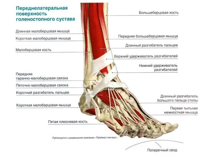 Проблема медицинского характера - Моё, Медицина, Помощь, Вопрос, Здоровье