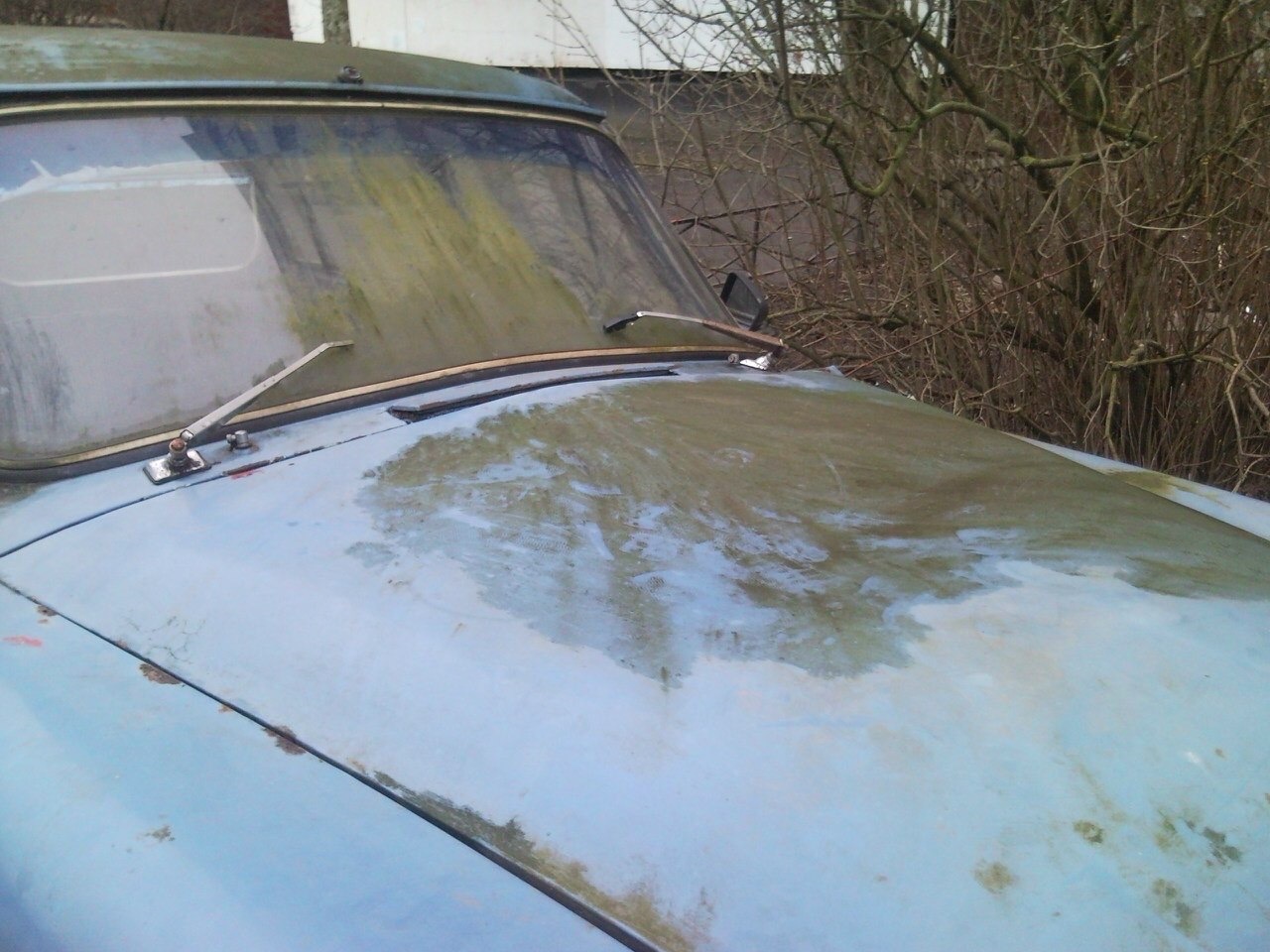 History in the yard - Instagram, Car, Story, Gas, Sadness, Made in USSR, the USSR, Longpost, Rust