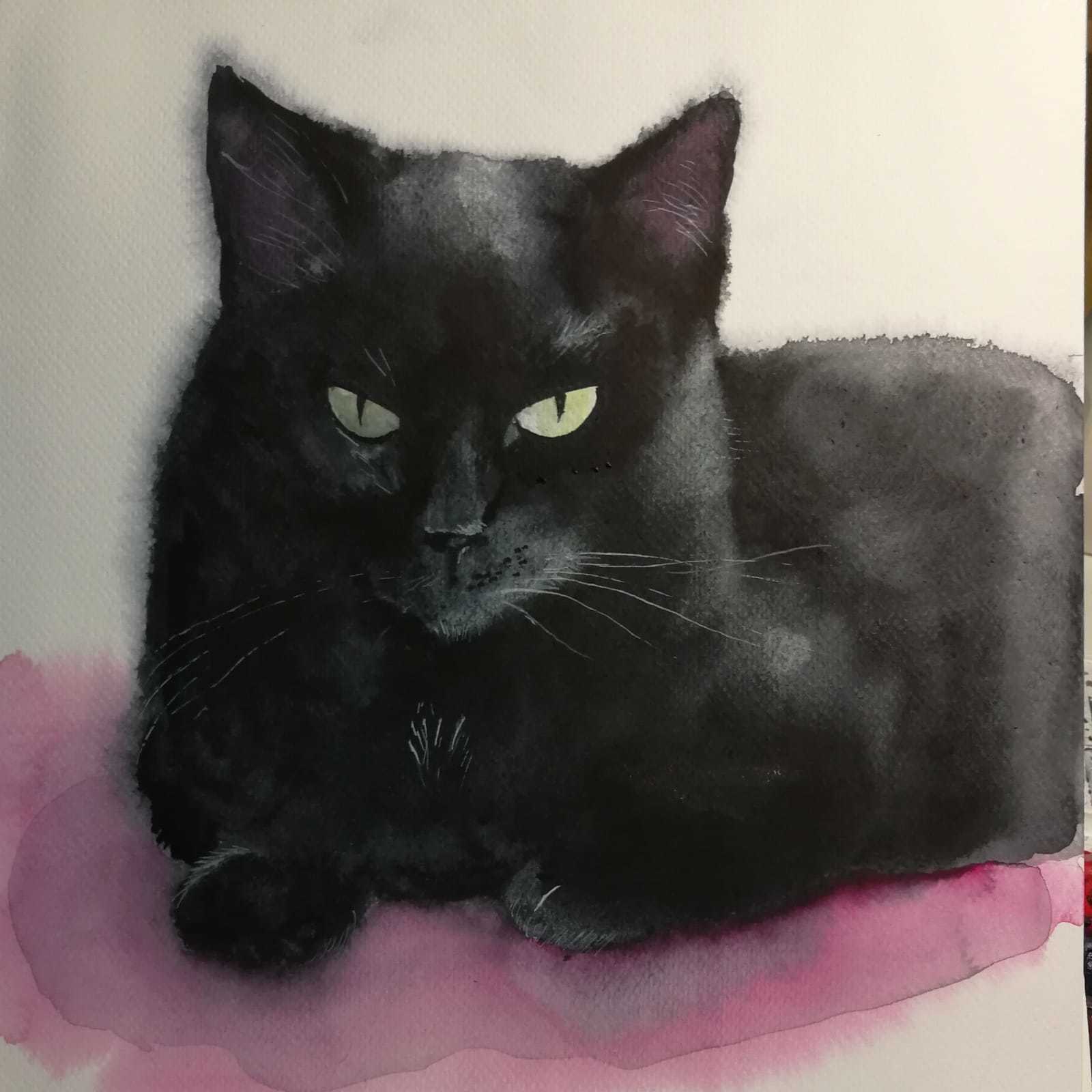 Girlfriend's black cat. Watercolor - My, Watercolor, Drawing, cat, Pets, Black cat, Art, Artist