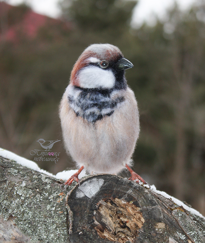 House sparrow. Dry felting - My, Needlework without process, Dry felting, Creation, Needlework, Author's toy, Wallow, Craft, Longpost