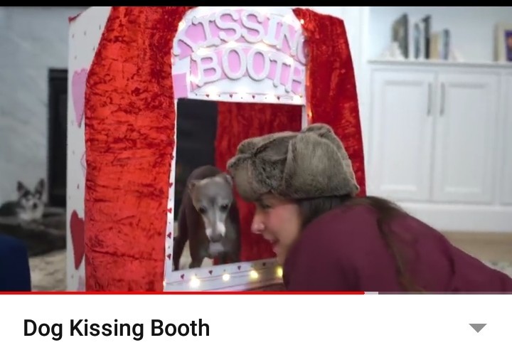 Что такое kissing booth - Любовь, Будка, США, Европа, Традиции, Длиннопост