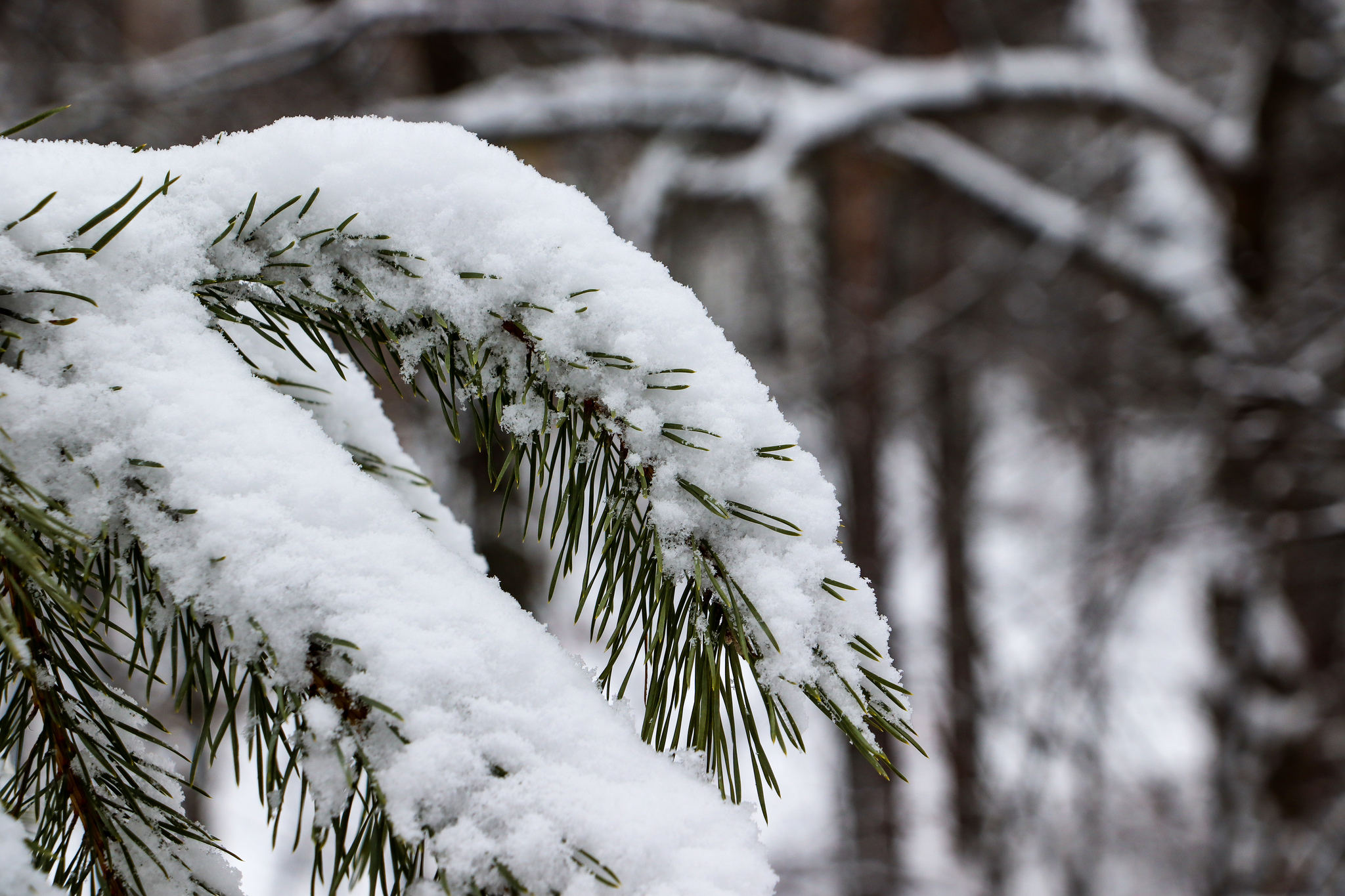 Winter - My, The photo, Dzerzhinsk, Winter, Coffee, McDonald's, Longpost