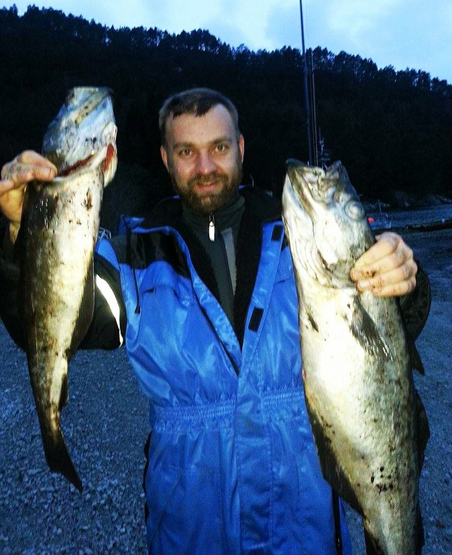 Fishing in Norway. Two fish were caught from the shore in the fjord - My, Cod, A fish, Recipe, Fishing, Norway, Longpost