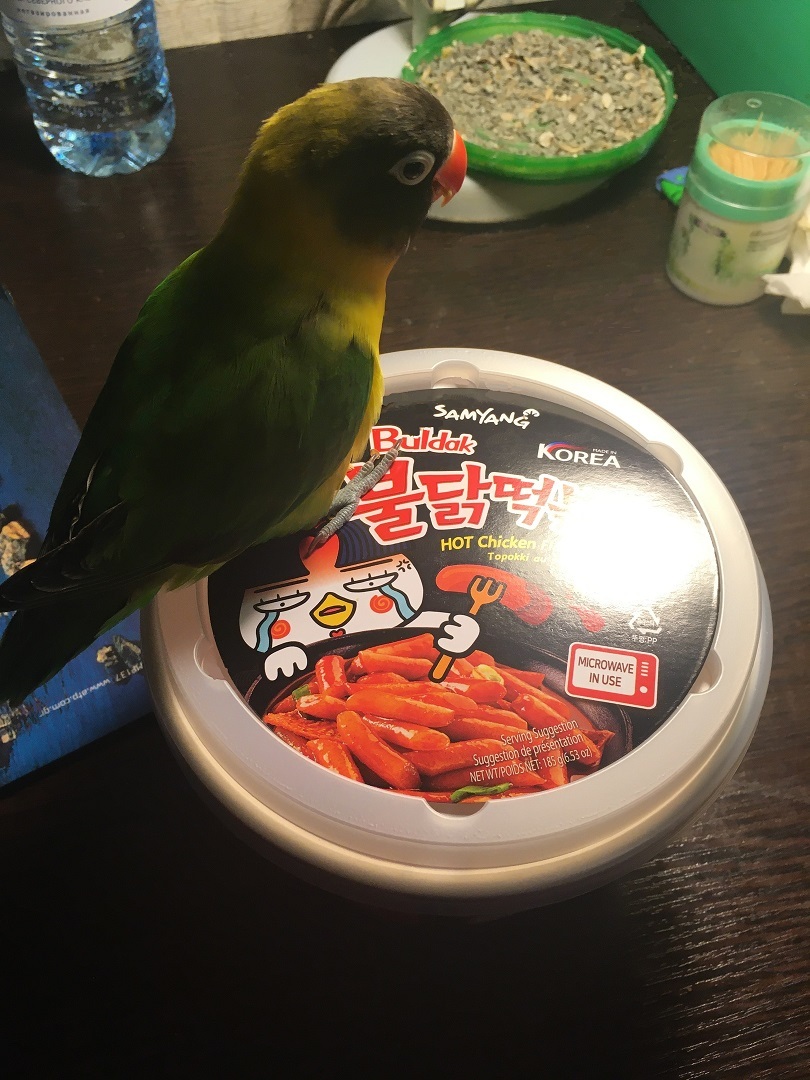 Samyang Hot Chicken Flavor Topokki - My, Doshirakology, Food Review, A parrot, Spicy, Korean food, Samyang, Longpost