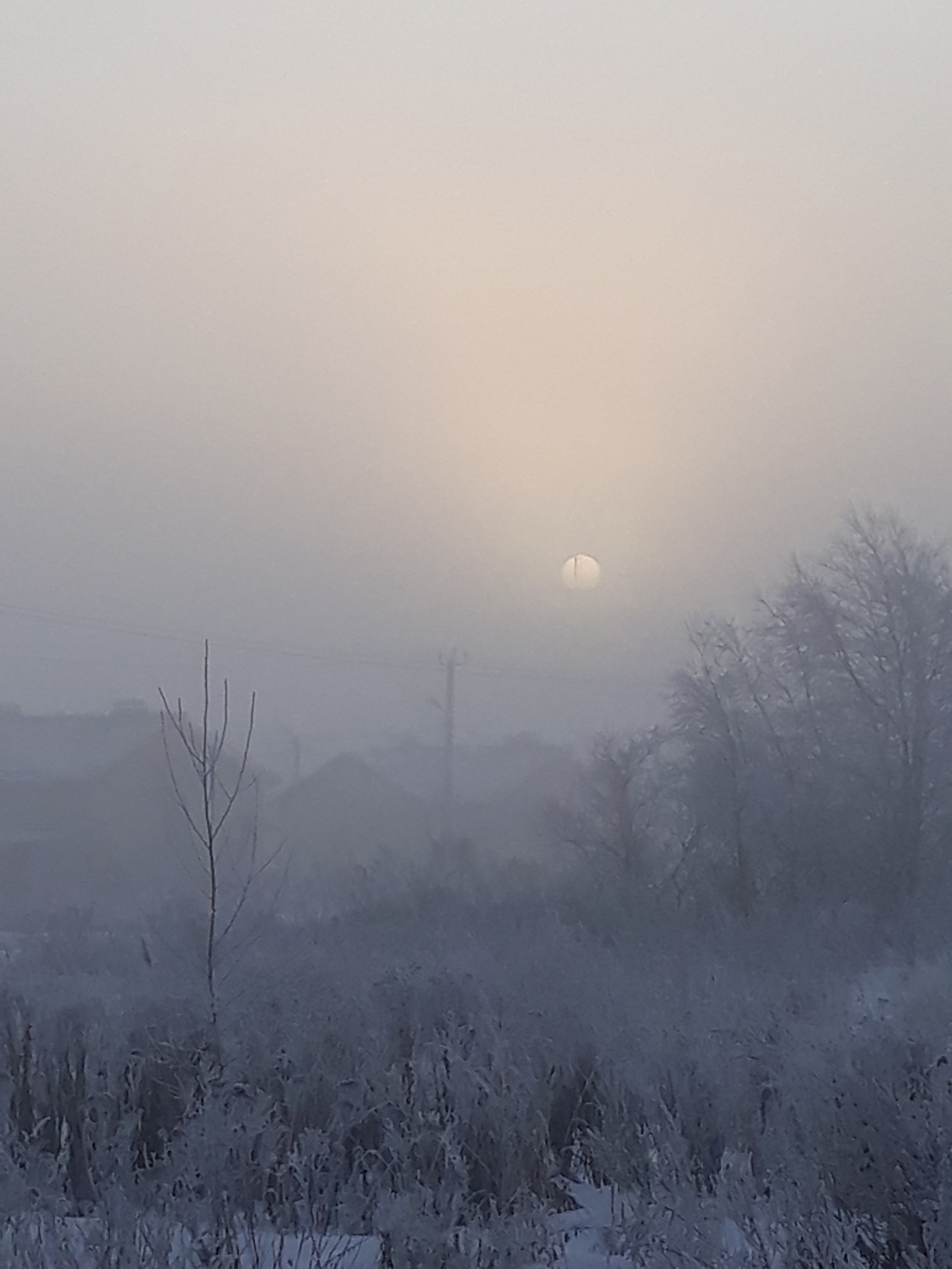 Starway to Haven? - My, The photo, Fog, Morning, beauty, Longpost