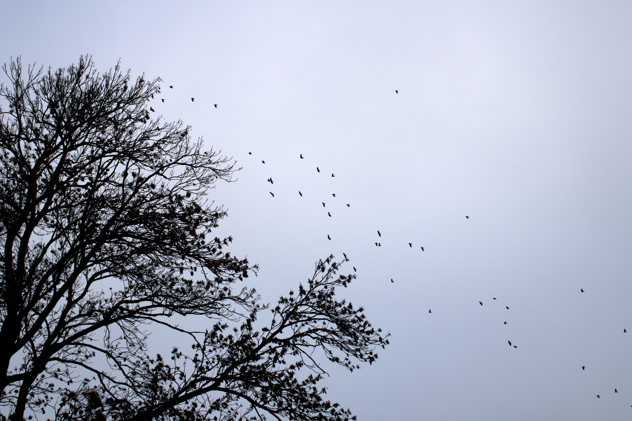 Outskirts of the city - My, The photo, Landscapes, Longpost