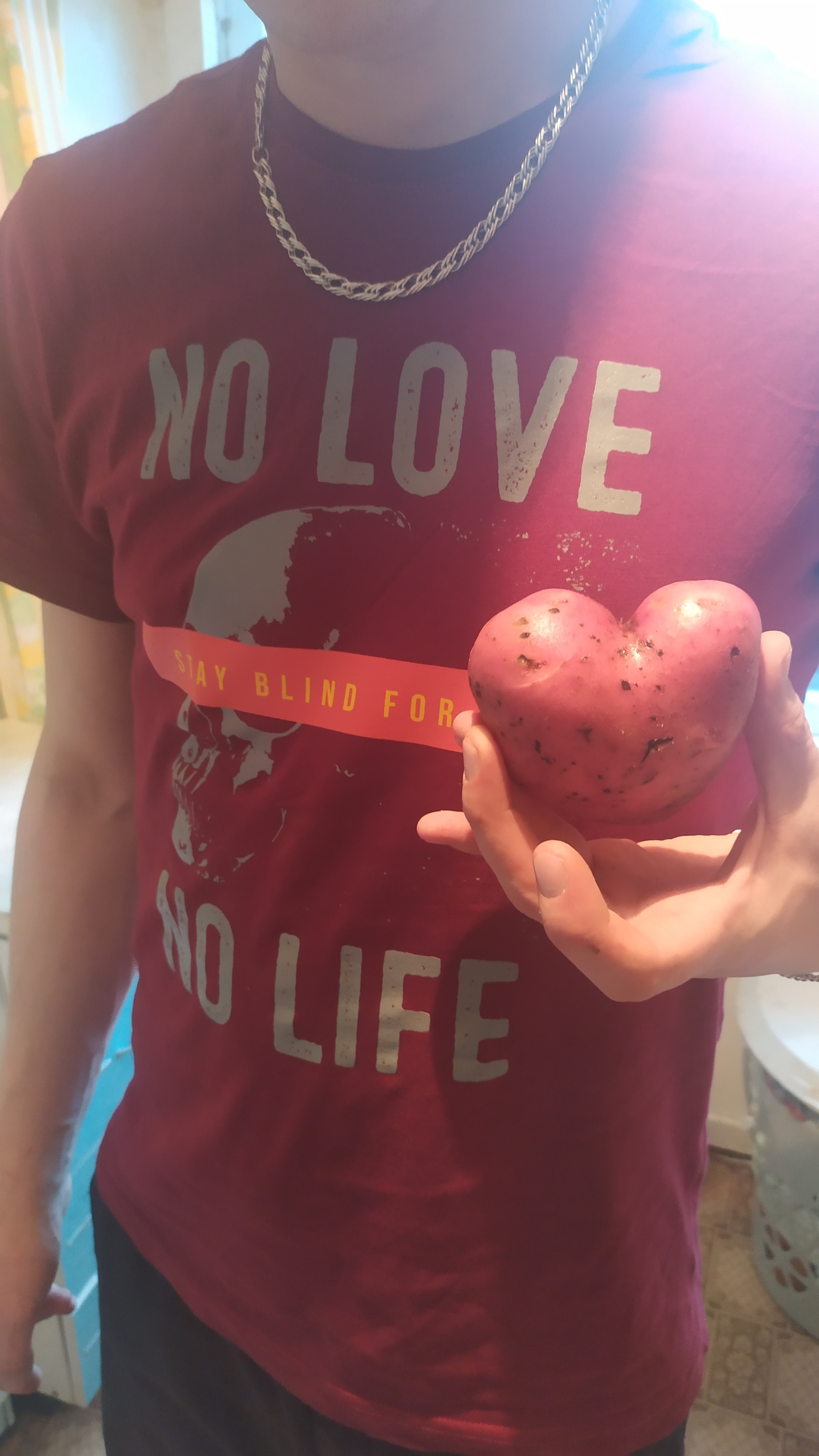 No love- no life - My, Potato, Heart, There is no love