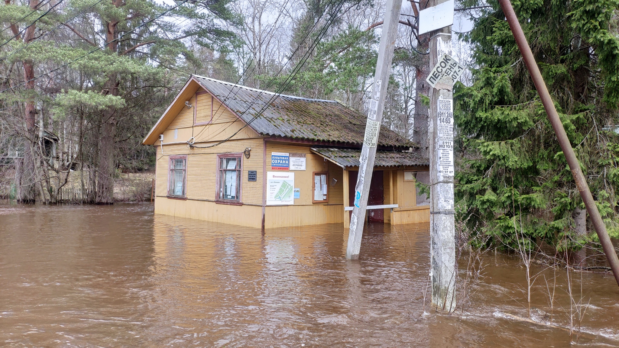 Flood in the Leningrad region near Sestroretsk - My, Incident, Flood, Ministry of Emergency Situations, news, Saint Petersburg, Leningrad region, Sestroretsk, Longpost